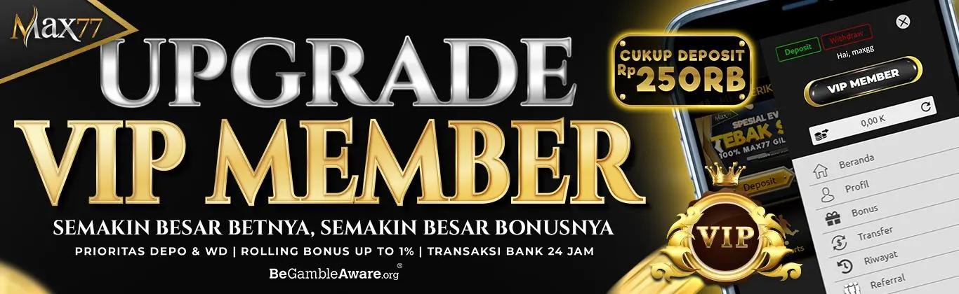 VIP MEMBER
